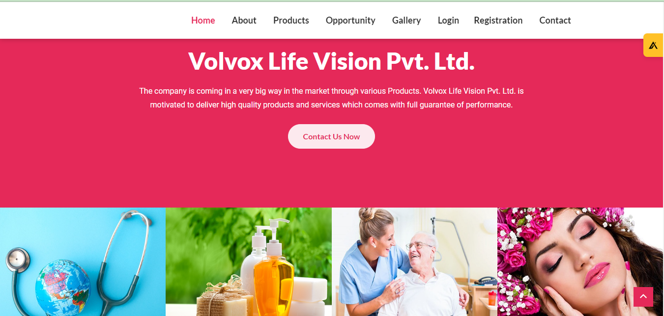portfolios/volvoxlifevision-2.png